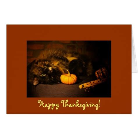 Cute Cat With Pumpkin - Happy Thanksgiving! Card | Zazzle