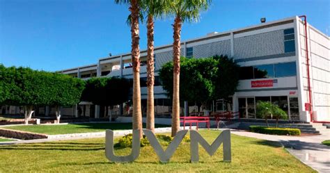 Pago en línea de la UVM [2024 ]