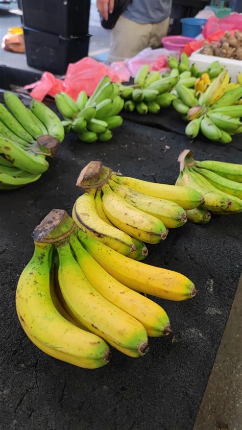 Pisang Berangan Bananas Information, Recipes and Facts