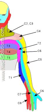 Dr. G's Blog: Repetitive Shoulder and Neck Stiffness