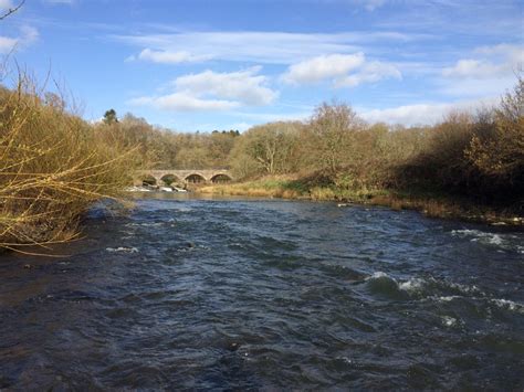 Fishing Update March 2019 – Torridge Rivers Association