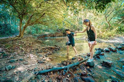 Rainforest Walk Tioman | Adventure & Fun