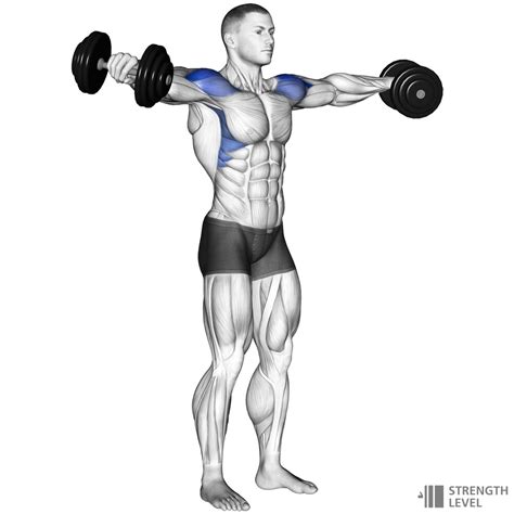 Dumbbell Lateral Raise How To - Strength Level