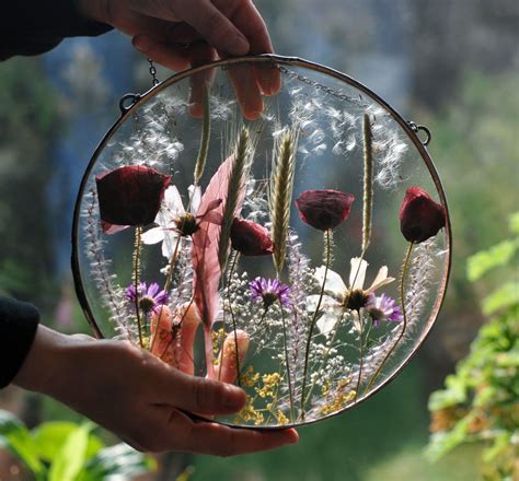 Circle Pressed Flowers Large Pressed Flower Pressed Flower - Etsy | Pressed flowers frame ...