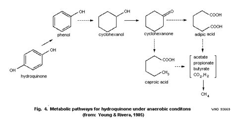 Hydroquinone (EHC 157, 1994)