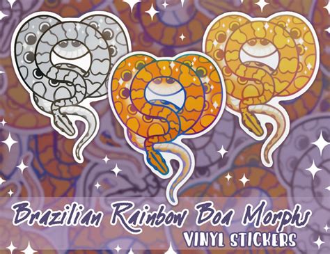 Brazilian Rainbow Boa Morphs Vinyl Stickers Snake Stickers - Etsy