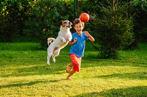 5 bienfaits du contact entre les enfants et les animaux - mamanplus.ma