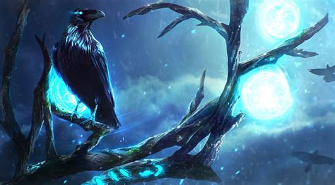 HD wallpaper: night, tree, bird, magic, branch, mystic, art, Raven | Wallpaper Flare