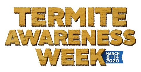 Termite Awareness Week: What to Know as Warm Weather Approaches
