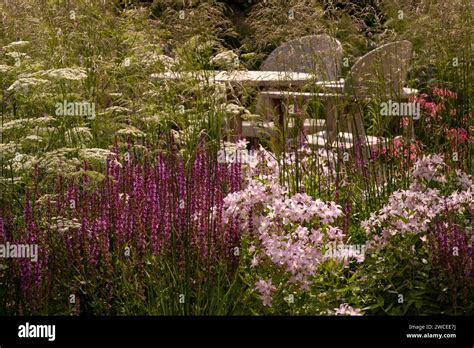 Planting surrounding a dinining area in the RHS Iconic Hero Garden ...