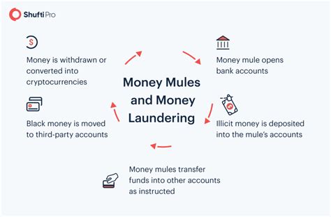 KYC/AML Compliance - A Roadblock for Money Mules and Illicit Fund Transfers