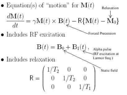 MRI PHYSICS