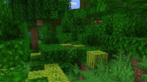 All Minecraft overworld biomes - Gamepur