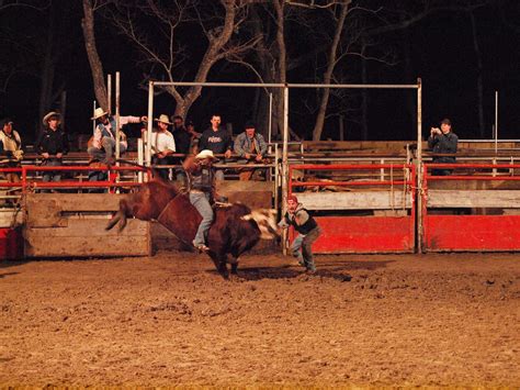 Dayton Texas LV Rodeo Productions bull riding practice Jan… | Flickr