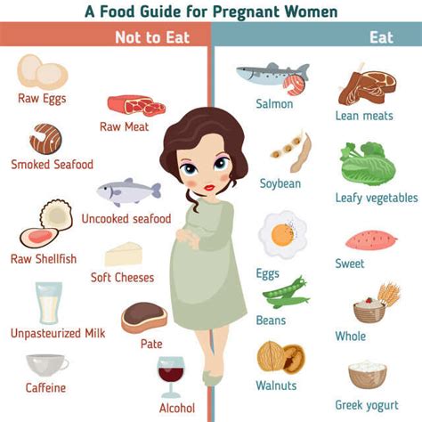 Details Of Pregnancy Week By Week Chart