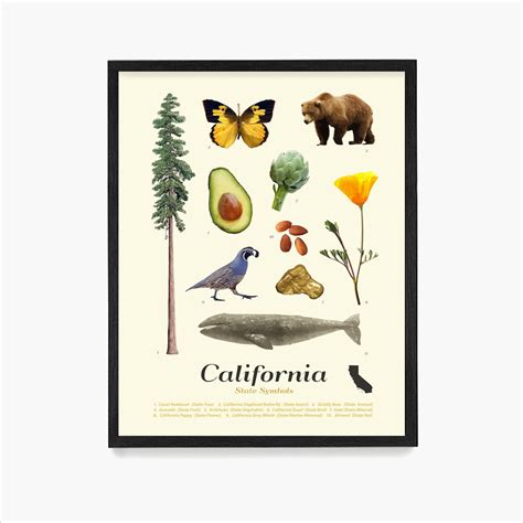 California State Symbols Poster California Art California - Etsy