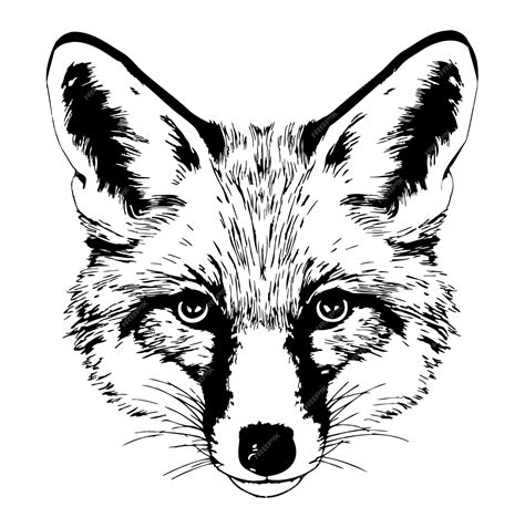 Premium Vector | Fox head sketch hand drawn in doodle style illustration