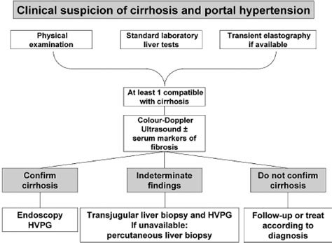 Proposed algorithm for the non-invasive diagnosis of cirrhosis and ...