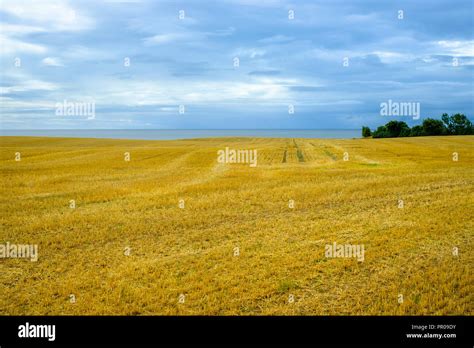 Lindegardsvej hi-res stock photography and images - Alamy
