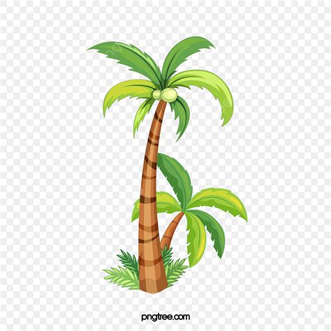 Free Download Tree PNG Picture, Vector Coconut Tree Free Download, Coconut Tree Clipart, Coconut ...