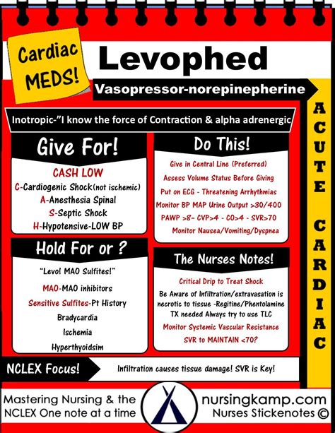 Levophed Norepinepherine - Vasopressor | Nursing notes, Nurse, Medications nursing