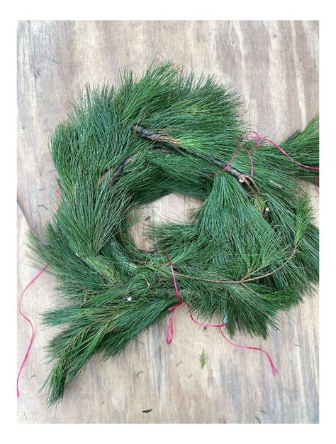 White Pine Garland 25 FT