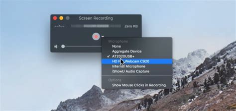 How to Record Screen and Webcam Simultaneously [Windows, Mac, Online ...