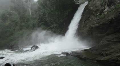 Waterfalls in Wayanad, List of waterfalls, Meenmutty,Soochipara ...