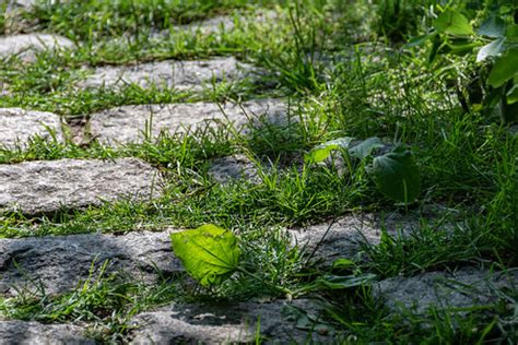 Brooklyn Bridge Park - June 2019 | Spring | aloucha | Flickr