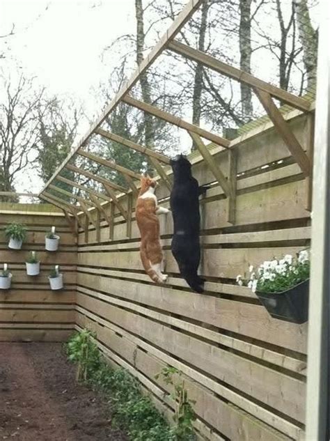 Amazing Privacy Fence Ideas to Perfect Your Backyard 36 | Pet friendly ...