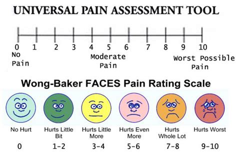 Wong-baker Scale Vector Related Keywords & Suggestions - Wong-baker Scale Vector Long Tail Keywords