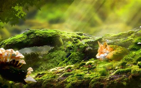 🔥 Download Relaxing Desktop Background by @nathanramos | Relaxing ...