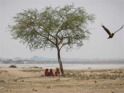 Over 95% chance of El Nino conditions from January to March 2024, US forecaster says | Zee Business