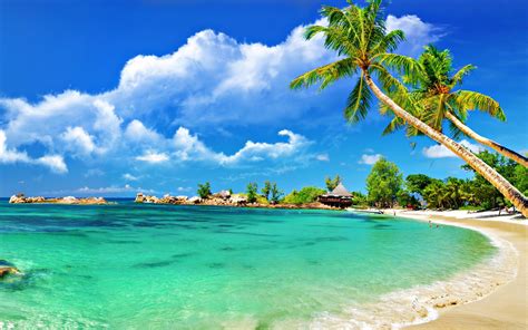 Tropical Beach Desktop Backgrounds ·① WallpaperTag