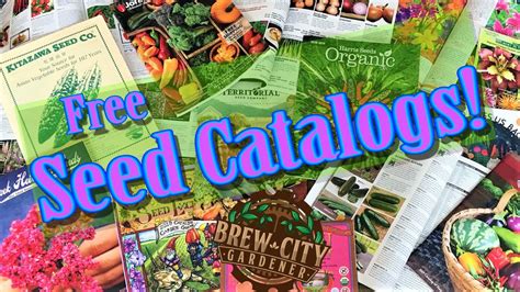 Free Seed Catalogs 2024 By Mail - Elka Nicole