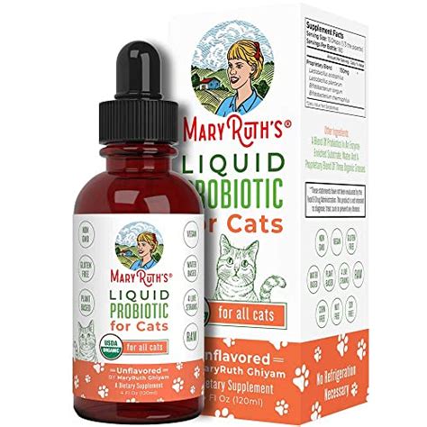 Best Probiotics For Cats, According To Veterinarians