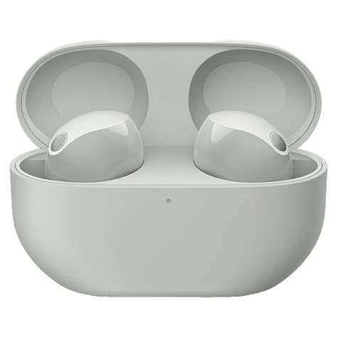 Sony WF-1000XM5 Wf Xm5, Truly Wireless Noise Cancelling Earbuds, Clear ...