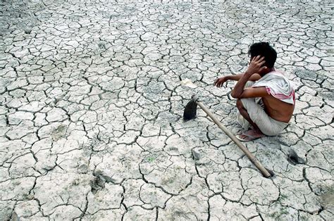 ECOMANIA: ~ AGRARIAN CRISIS IN INDIA