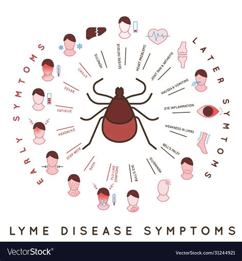 Tick disease icons Royalty Free Vector Image - VectorStock