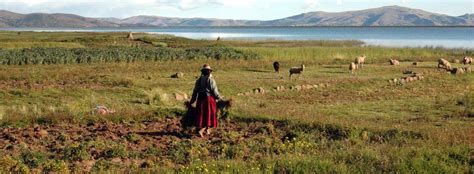 Cultures of Lake Titicaca in Puno, Peru - Knowmad Adventures