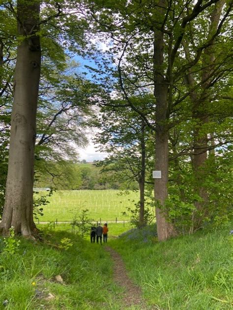 The Burnley partnership that’s transforming Crow Wood into a wildlife ...