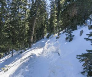 Summit Chief Mountain, Mind Boggling Views! - Crazy About Colorado