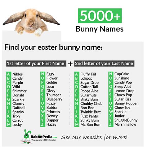 5000+ Most Popular Bunny Names (Top 250 Boy & Girl) - RabbitPedia.com | Rabbit names, Bunny ...