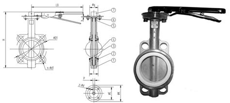 Stainless Steel Butterfly Valve | 304/316 Wafer/ Lug butterfly valves