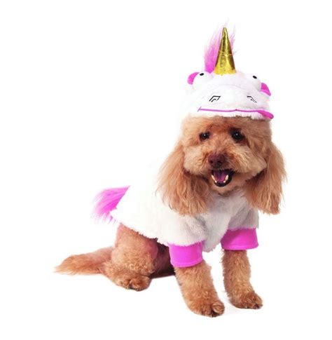 Fluffy Costume | Pet costumes, Unicorn dog costume, Fluffy animals