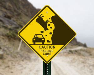 Funny Traffic Signs | Perfect for Gifts
