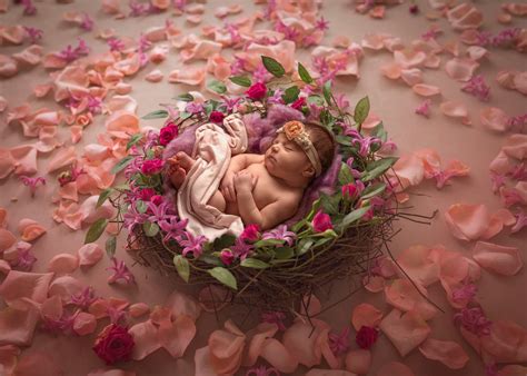 30 Newborn Photography Backdrops – Eco and Creative Newborn Backdrops