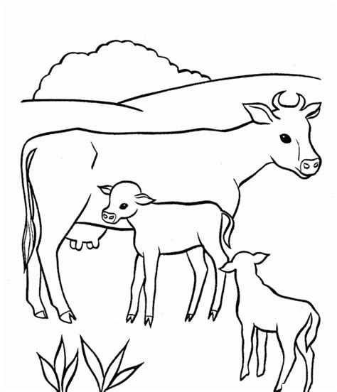 Free Animal Cow Coloring Pages For Kids