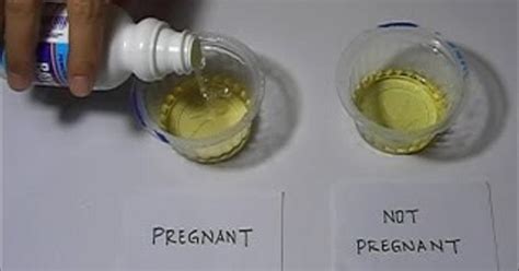 At Home Pregnancy Test Diy