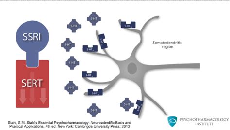 Psychopharmacology Institute